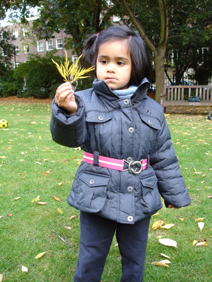 19 Oct leaf.jpg